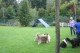Thumbs/tn_Bild 032.jpg